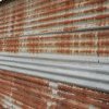 Corrugated iron wall from a hut in the Gully, Katoomba